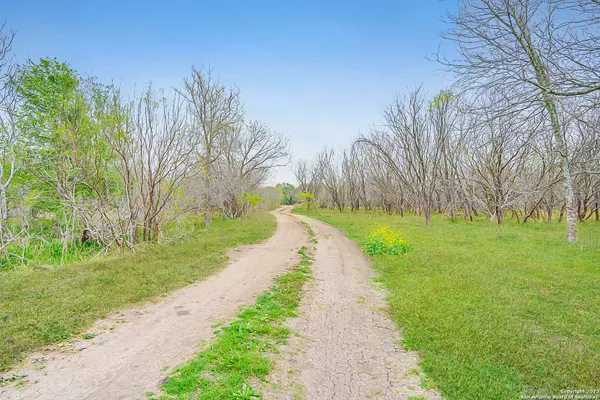 1590 McCauley Rd, Floresville, TX 78114