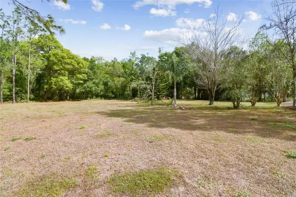 12806 SWEET MAGNOLIAS LN, Dover, FL 33527