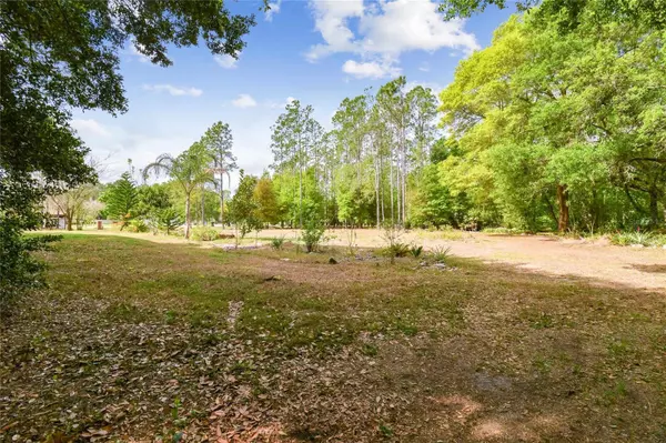 12806 SWEET MAGNOLIAS LN, Dover, FL 33527