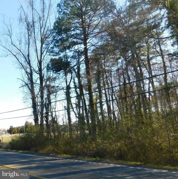 PARCEL 38-1-100A NORTHUMBERLAND RD, Reedville, VA 22539