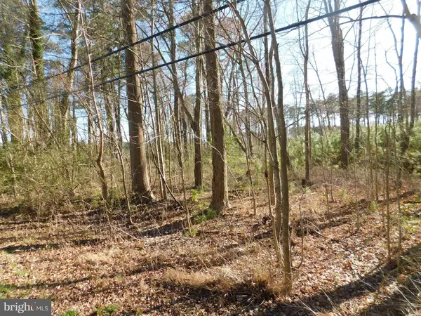 PARCEL 38-1-100A NORTHUMBERLAND RD, Reedville, VA 22539