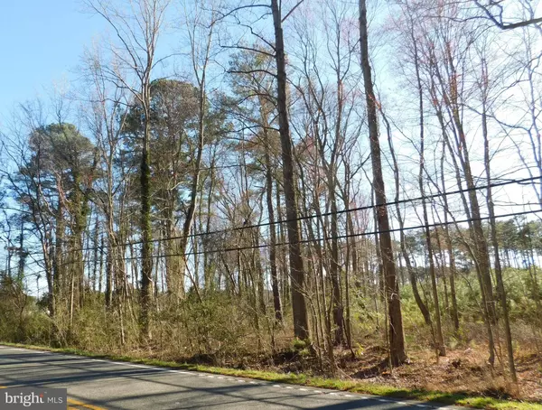 PARCEL 38-1-100A NORTHUMBERLAND RD, Reedville, VA 22539