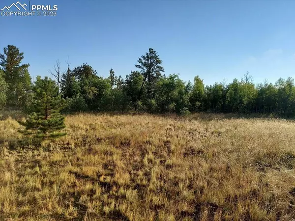 614 YellowStone RD, Hartsel, CO 80449