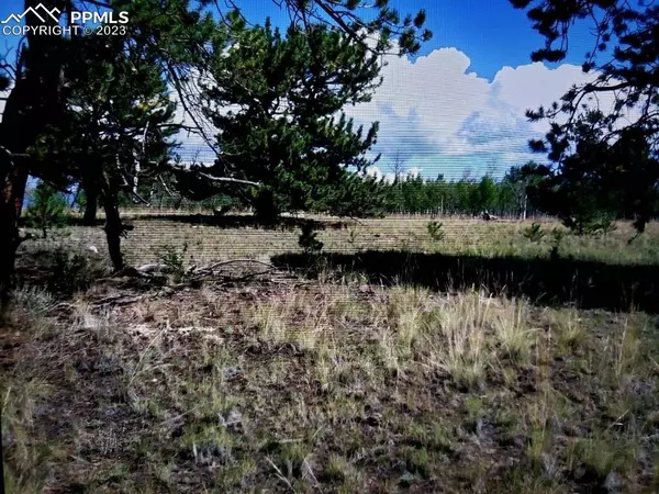 614 YellowStone RD, Hartsel, CO 80449