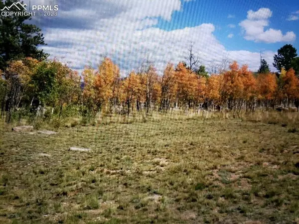 614 YellowStone RD, Hartsel, CO 80449