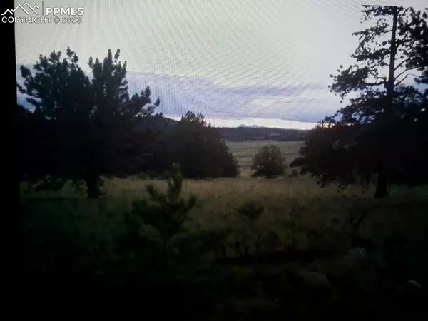 614 YellowStone RD, Hartsel, CO 80449