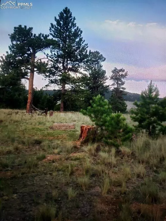 614 YellowStone RD, Hartsel, CO 80449