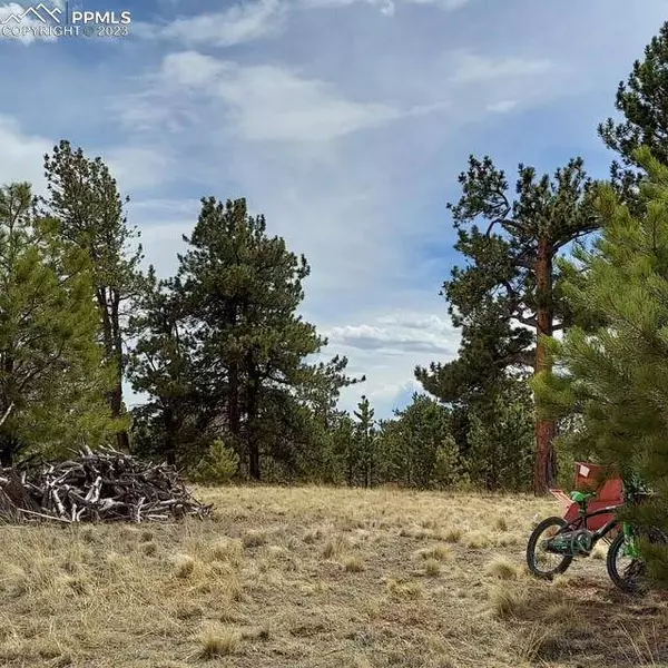 614 YellowStone RD, Hartsel, CO 80449