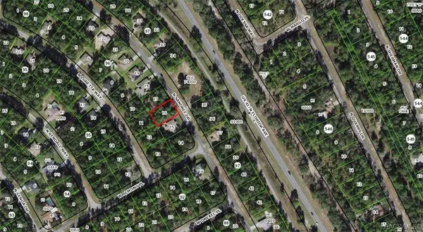 9728 N Sandree DR, Citrus Springs, FL 34434