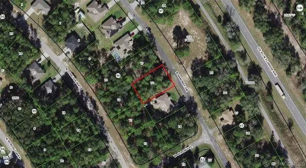 9728 N Sandree DR, Citrus Springs, FL 34434