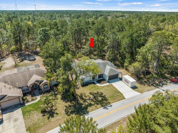 7344 MADRID RD, Weeki Wachee, FL 34613