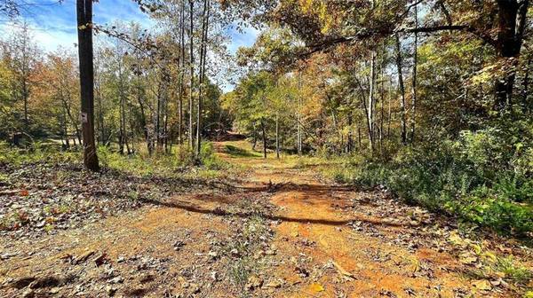 70 Hidden Valley DR, Villa Rica, GA 30180