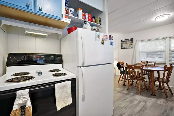 36 COCOS PLUMOSA DR, Eustis, FL 32726