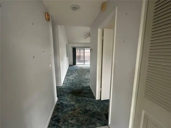 5208 HOPEDALE DR, Tampa, FL 33624