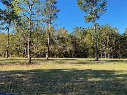 149 Woodlake Dr., Manning, SC 29102