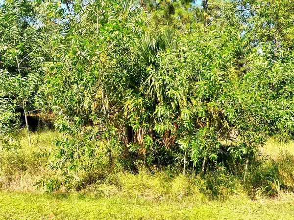 5752 NW Zenith DR, Port Saint Lucie, FL 34986