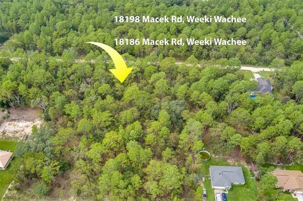 18198 MACEK RD, Weeki Wachee, FL 34614