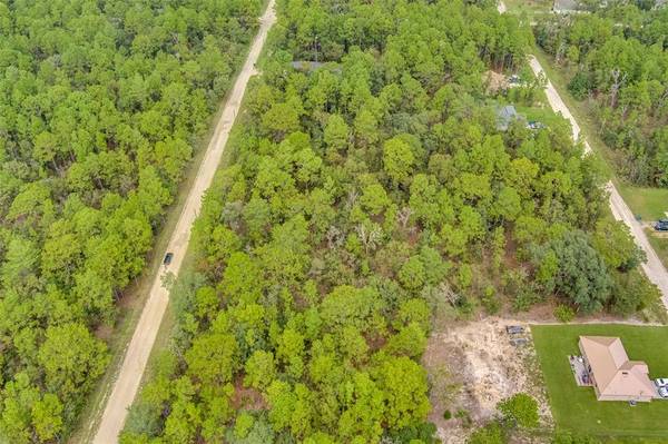 18198 MACEK RD, Weeki Wachee, FL 34614