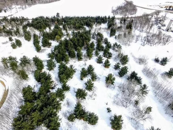 TBD Portage Loop, Browerville, MN 56438