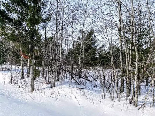 TBD Portage Loop, Browerville, MN 56438
