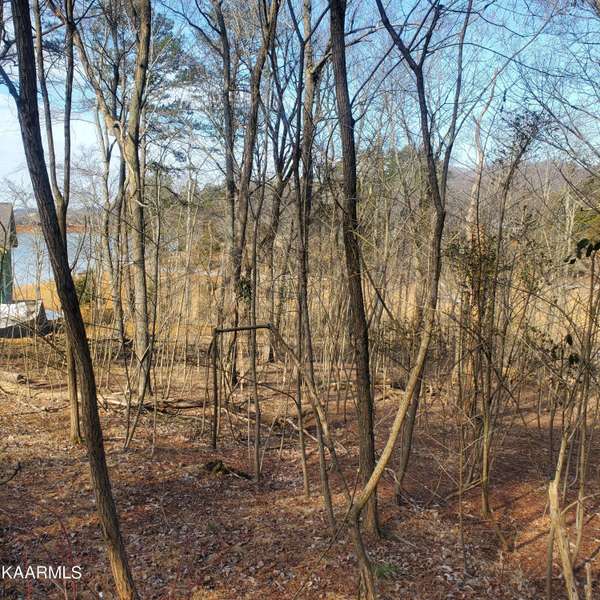 408 Chelaque WAY, Mooresburg, TN 37811