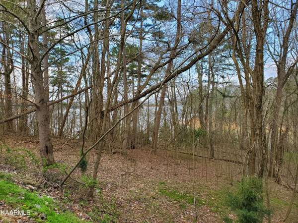 408 Chelaque WAY, Mooresburg, TN 37811