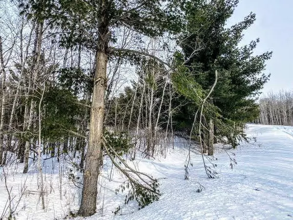 TBD Portage Loop, Browerville, MN 56438