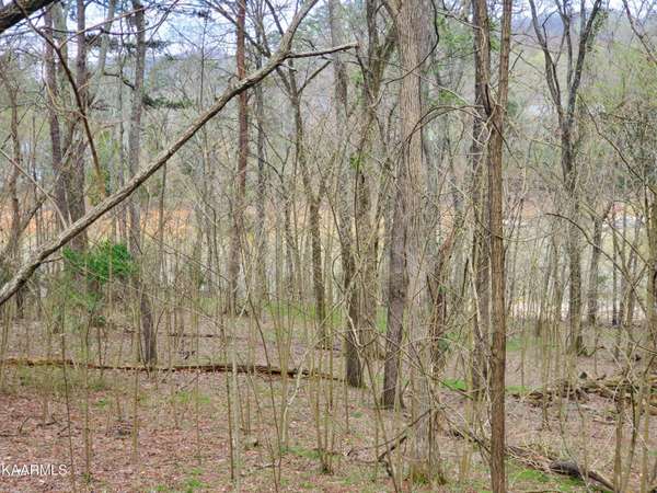 408 Chelaque WAY, Mooresburg, TN 37811