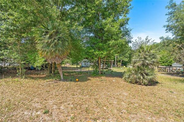 8151 HAMSTER DR, Zephyrhills, FL 33540