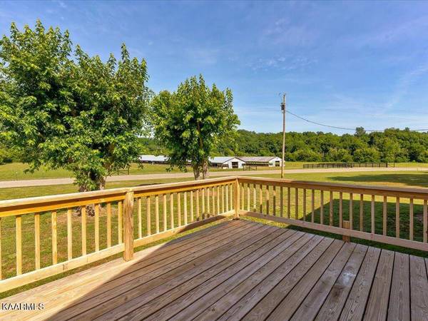 3205 Little Chuckey Rd, Mosheim, TN 37818