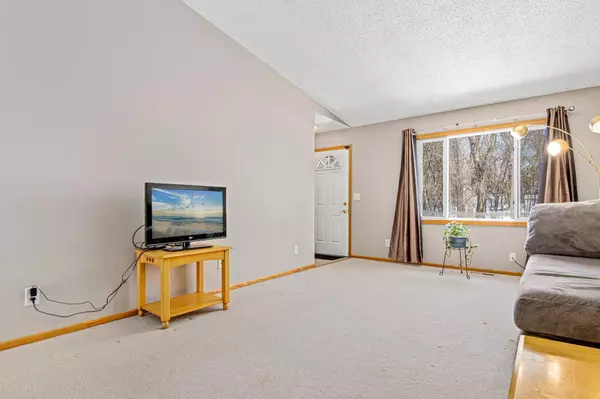 263 River Woods LN, Burnsville, MN 55337