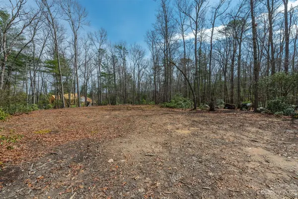 Lot 2 Ashbrook MDWS #2, Fletcher, NC 28732