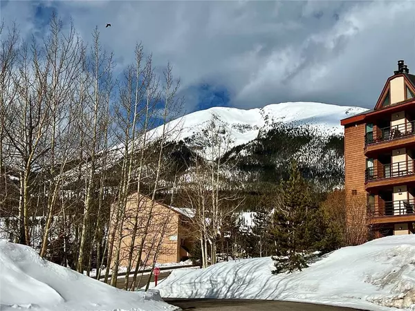 89410 Ryan Gulch Road #102E, Silverthorne, CO 80498