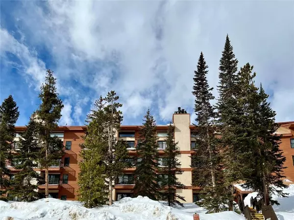 89410 Ryan Gulch Road #102E, Silverthorne, CO 80498