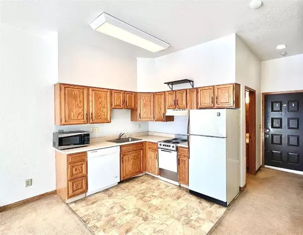 89410 Ryan Gulch Road #102E, Silverthorne, CO 80498