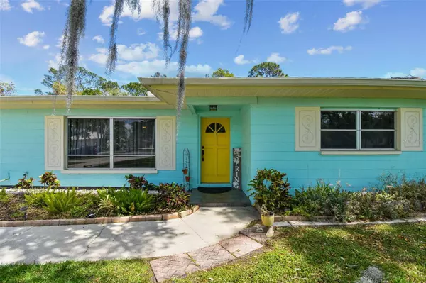 713 SHORE DR E, Oldsmar, FL 34677