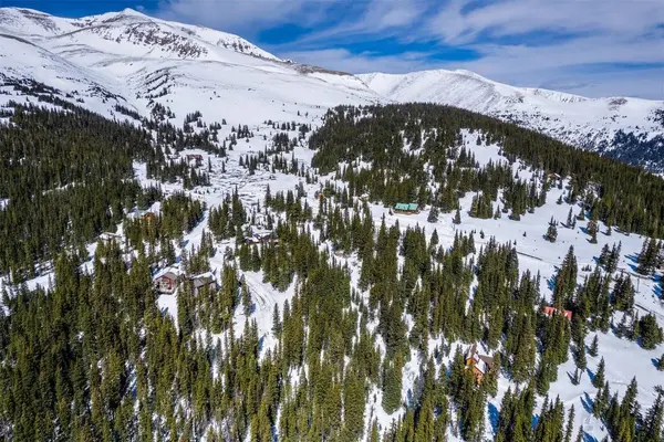 83 Lode Drive, Alma, CO 80420