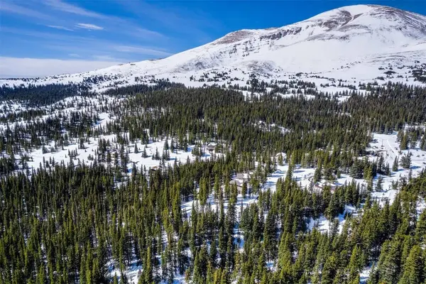 83 Lode Drive, Alma, CO 80420