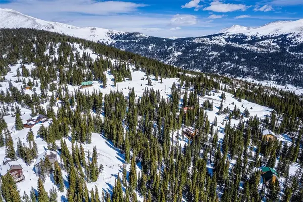 83 Lode Drive, Alma, CO 80420