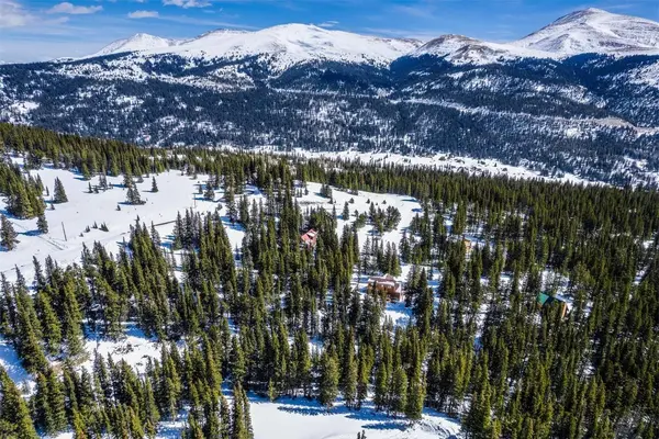 83 Lode Drive, Alma, CO 80420