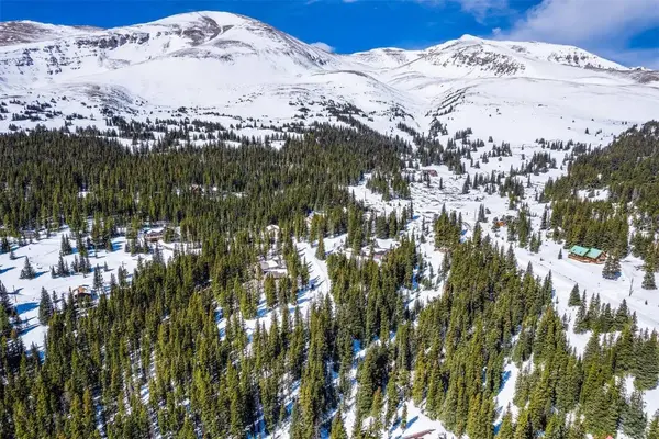 83 Lode Drive, Alma, CO 80420