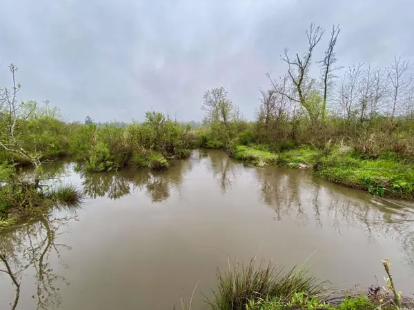 0 Joe Huntley Rd, Kingsland, AR 71652