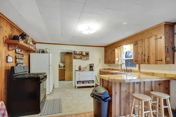 6773 N Bass Lake Road, Irons, MI 49644