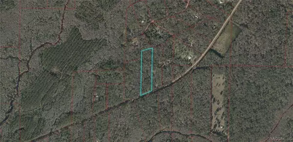 0 SE County Road 326, Gulf Hammock, FL 32639