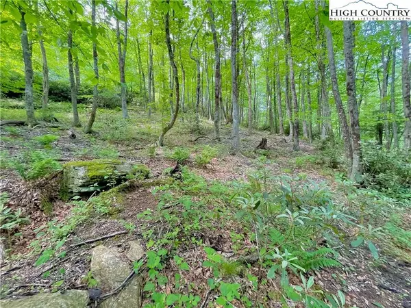 127 Stone Ledge LN, Blowing Rock, NC 28605