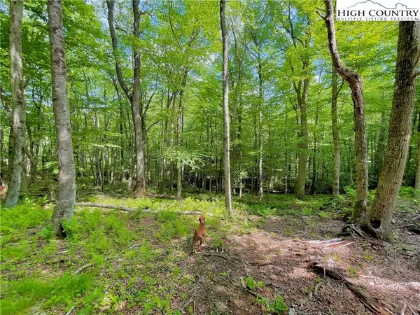 127 Stone Ledge LN, Blowing Rock, NC 28605