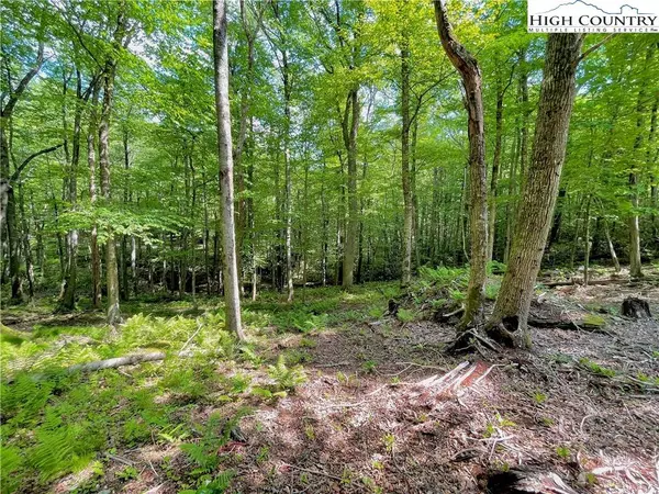 127 Stone Ledge LN, Blowing Rock, NC 28605