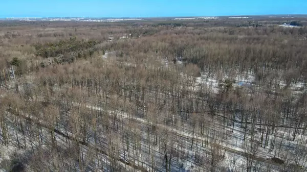 450 E Madison Road, Hart, MI 49420