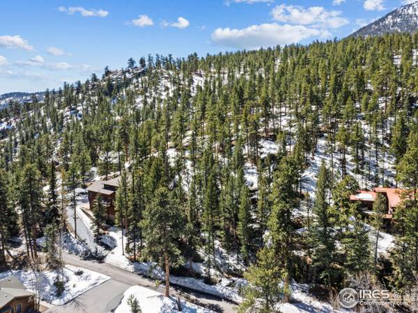 1451 David Dr, Estes Park, CO 80517