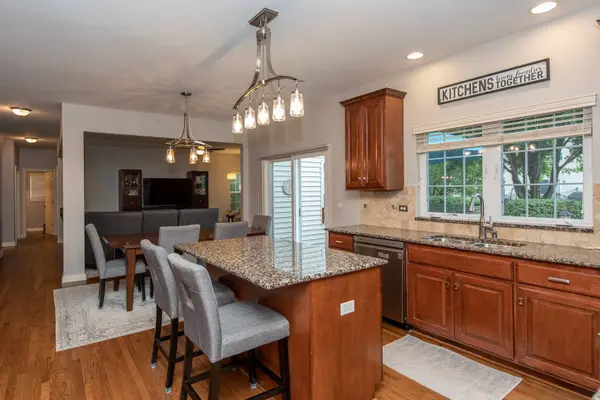 13422 Lindengate CT, Plainfield, IL 60585